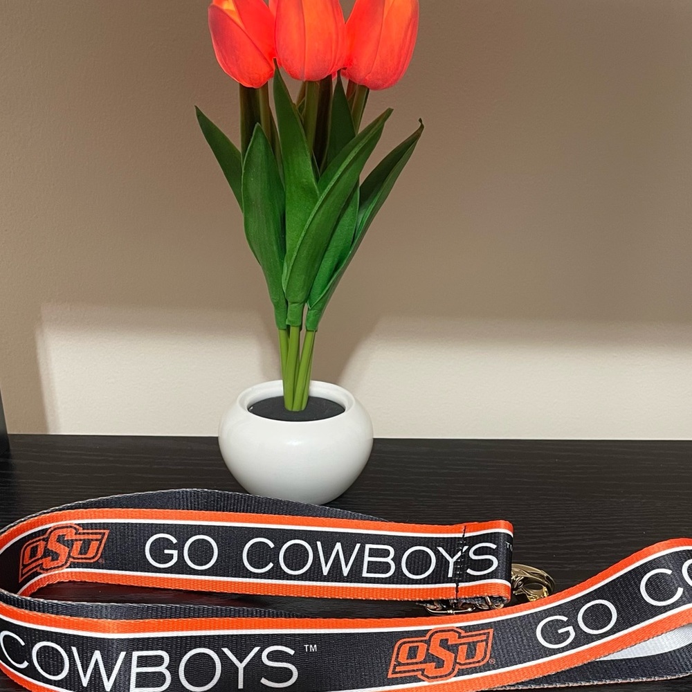 🎉🧡LAST ONE!! NEW Oklahoma State University GO COWBOYS Reversible Purse Strap
